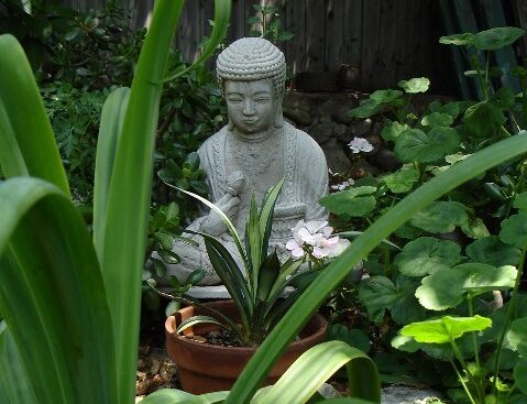 garden design with Buddha
